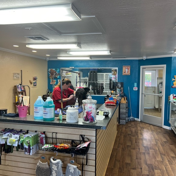 Everlane The Original Cheeky Jean Size 25 Tall Washed Midnight - Picture 5 of 8